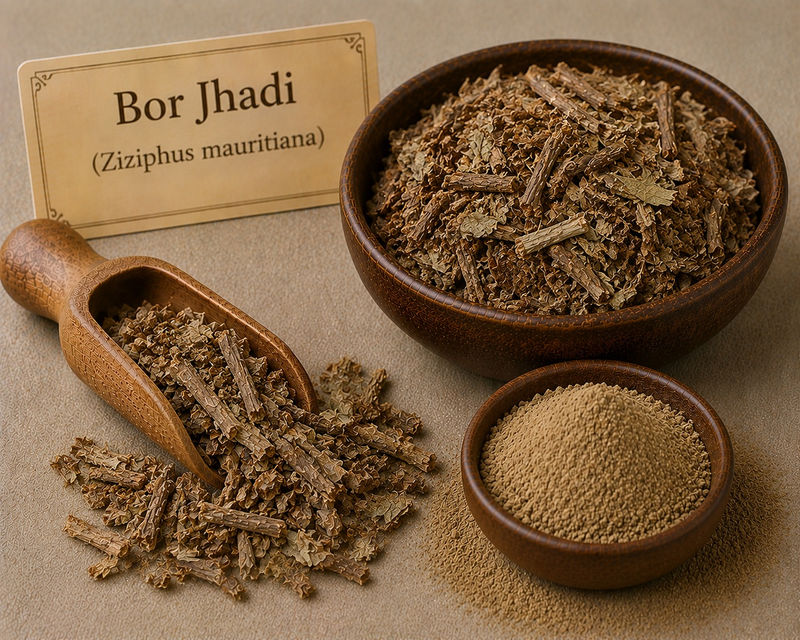 Bor Jhadi (Ziziphus mauritiana)